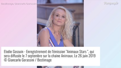 Télécharger la video: Elodie Gossuin nostalgique de son passé de Miss ? Avant/après de son quotidien qui n'a plus rien à voir