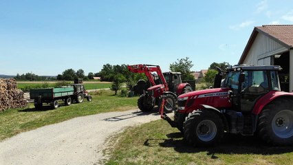 Getreideernte 2020 | Fendt | MF | Case | Corn Harvest 2020