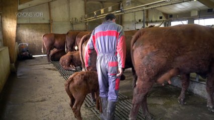 Voyons Voir - le patrimoine rural