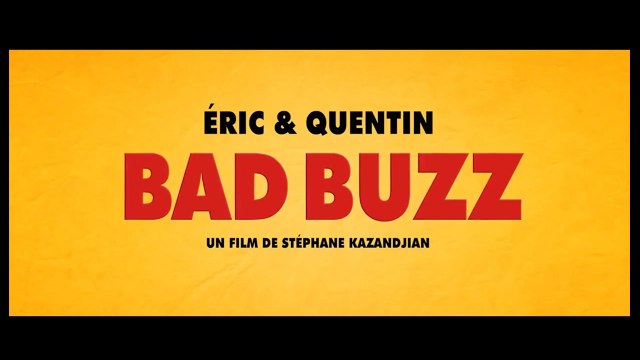 Bad buzz (2017) WEB-DL XviD AC3 FRENCH