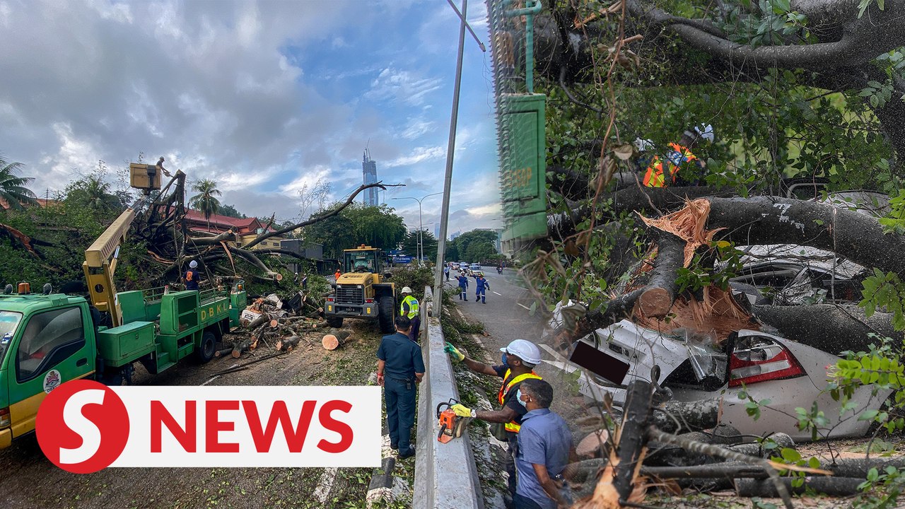 Motorcyclist injured, car damaged after tree uprooted in front of Muzium Negara