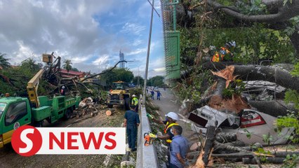Motorcyclist injured, car damaged after tree uprooted in front of Muzium Negara
