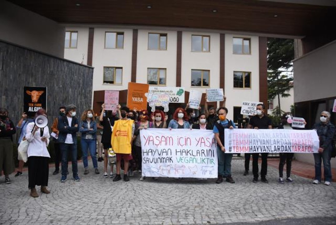 Hayvanseverler, hayvan hakları yasasına ilişkin taleplerini eylemle duyurdu