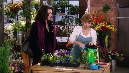 Rote Rosen Folge 347