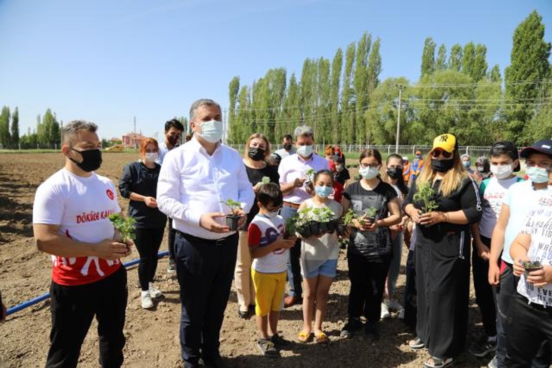 Çubuk'ta genç sporcular ihtiyaç sahipleri için sebze yetiştiriyor