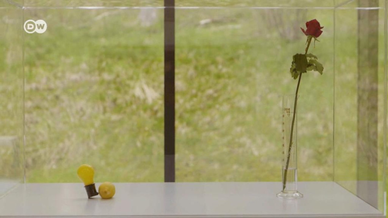 A escultura como ato político e o pioneirismo de Beuys