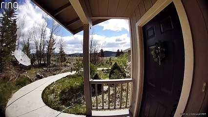 Boy Uses Ring Doorbell to Tattle on Sibling