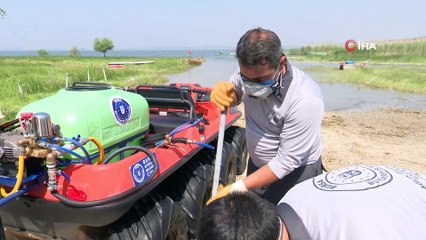 Sinekle mücadele hız kesmiyor