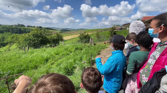 Les jeunes découvrent la filière l'élevage