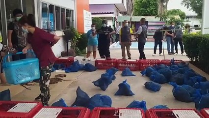 ปราจีนบุรี-ตร.กองปราบปรามตามรวบขบวนการค้าสัตว์ป่าข้ามชาติได้ของกลางลิงแสมกว่า100ตัว