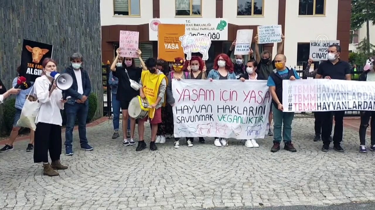 İSTANBUL - Hayvanseverler, hayvan hakları yasasına ilişkin taleplerini eylemle duyurdu