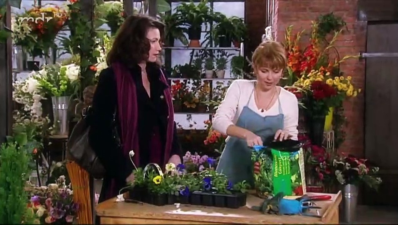 Rote Rosen Folge 347