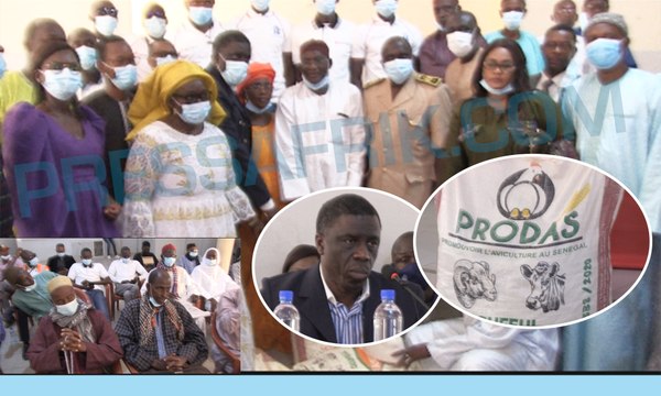 Lutte contre la divagation des animaux: la SECAA offre 86 tonnes d'aliments de bétail aux éleveurs en valeur 15 millions FCFA