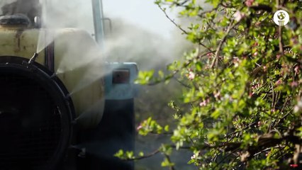 Estados Unidos prohibió uso de un pesticida peligroso