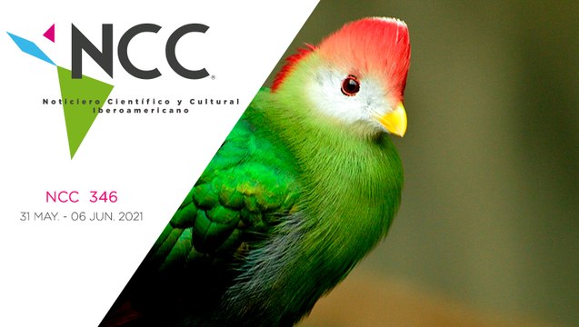 Noticiero Científico y Cultural Iberoamericano, emisión 346. 31 de mayo al 06 de junio del 2021