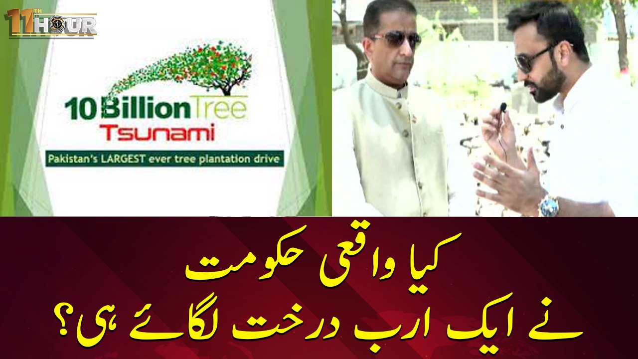 Ten Billion Tree Tsunami, Is the Plan Workable?