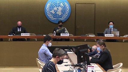 Download Video: ONU abre investigação sobre abusos dos diretos Humanos em Israel e Territórios Palestinos