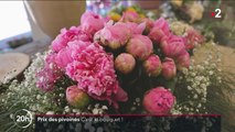 Fleurs : une hausse inédite du prix des pivoines