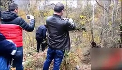 Tuzağa düşen ayı böyle kurtarıldı