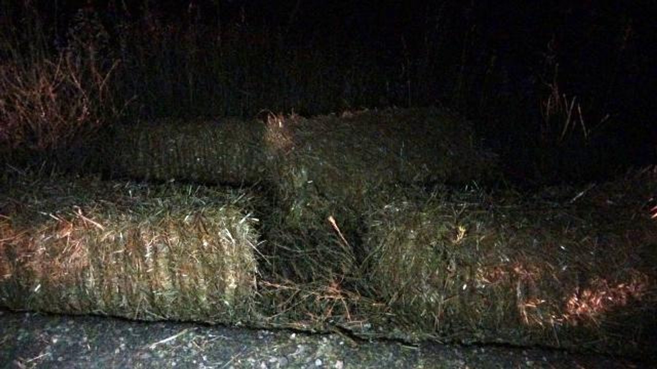 Saman balyalarının üzerinde yolculuk yapan çiftçi virajda yola düştü