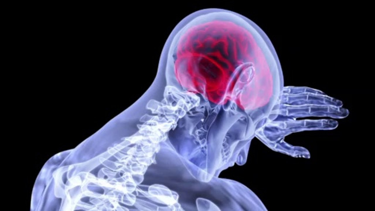 Black Fungus (Mucormycosis) , What is Black fungus and How Dangerous is it?