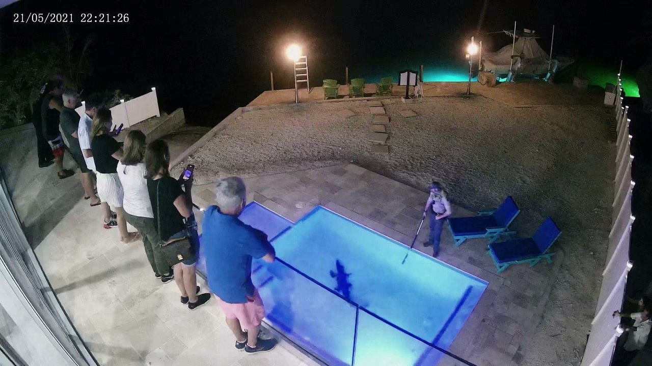 Crocodile Climbs into Pool