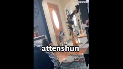 Meme Compilation #46 | Boredom Peaks