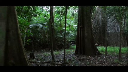 Un giorno devi andare (Trailer HD)