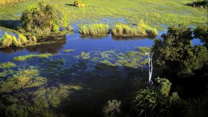 River Monsters 3D (Trailer HD)