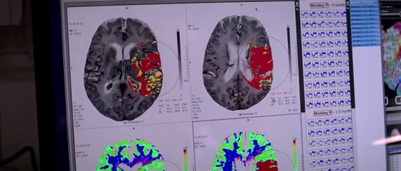 Transcendence (Trailer HD)