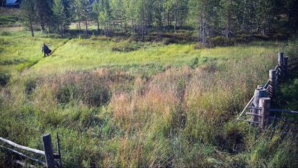 Le notti bianche del postino (Trailer HD)