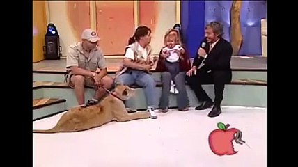 Aslan çocuğa saldırdı, bakın annesi ne yaptı!