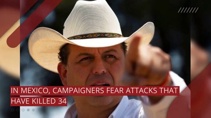 24/7 video newswire featuring breaking news, research, and entertainment.