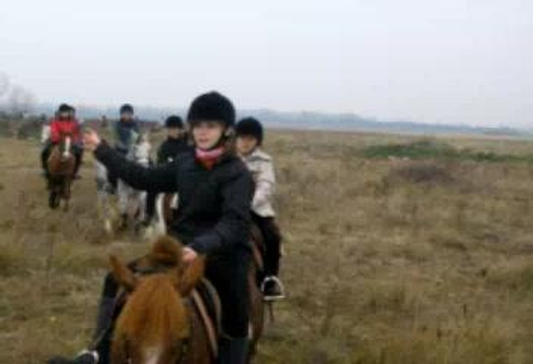 camargue