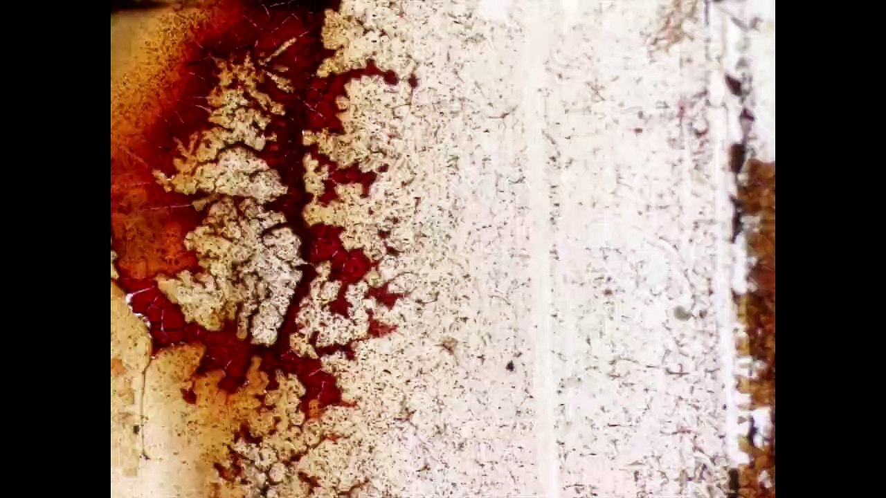 Circle (Trailer HD)