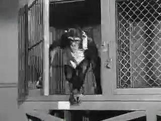 Il magnifico scherzo (Trailer HD)