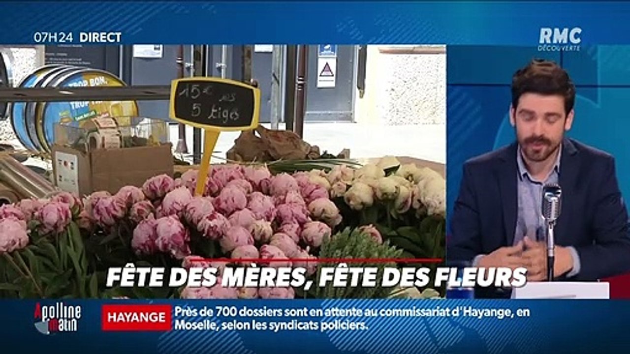 Dupin Quotidien : Fête des mères, fête des fleurs - 28/05