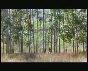 L'uomo che sussurrava ai cavalli (Trailer HD)