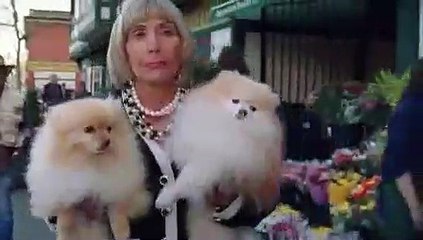 Gioventù violata - Fierce People (Trailer HD)