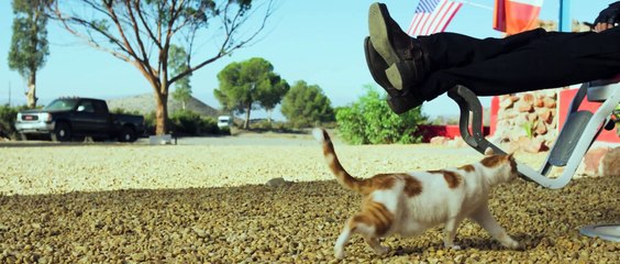 Il mio nome è Thomas (Trailer HD)