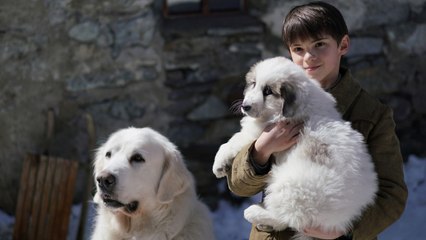 Belle & Sebastien - Amici per sempre (Trailer HD)