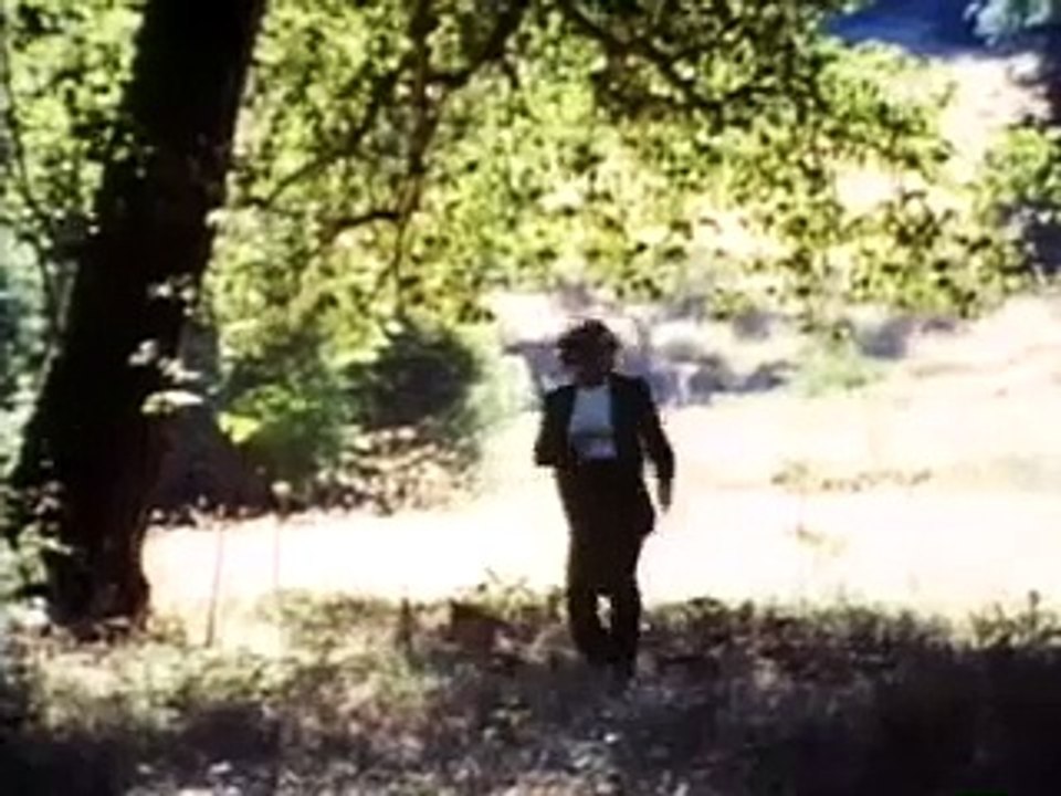 Il dormiglione (Trailer HD)