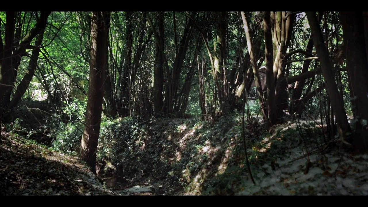 Saro (Trailer HD)