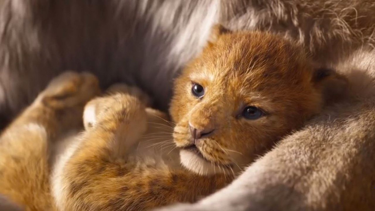Il Re Leone (Trailer HD)