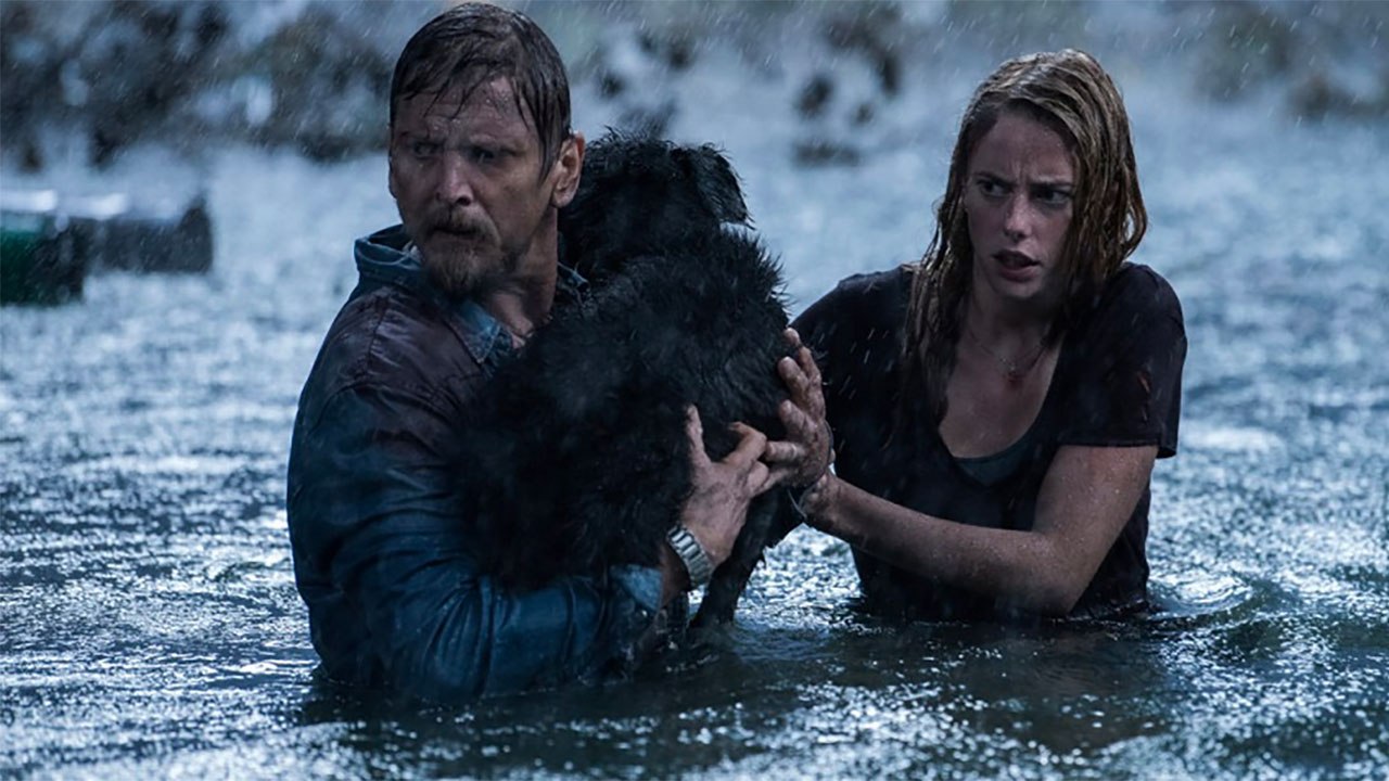 Crawl - Intrappolati (Trailer HD)