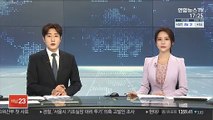 고 손정민 사건 경찰청장 가짜뉴스…경찰 내사