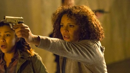 Serpente a Sonagli (Trailer HD)