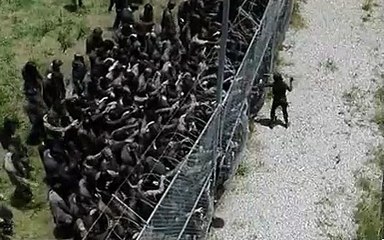 An itibariyle Kanada sınırı (!)