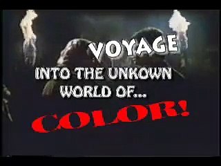 Niente dura per sempre (Trailer HD)