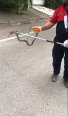 Evin bahçesinden çıkarılan 1,5 metrelik yılan doğaya salındı